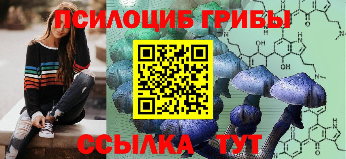 Галлюциногенные грибы GOLDEN TEACHER  Вход с VPN  Пугачёв 