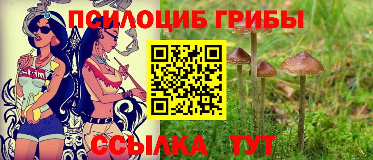 Галлюциногенные грибы Cubensis Пугачёв
